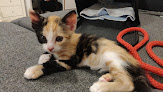 Negocio Clínica Veterinaria Lucero