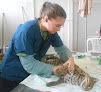 Negocio Clínica Veterinaria Madagascar