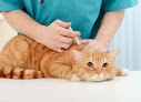 Negocio Clínica Veterinaria Manoteras
