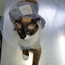 Cdad. Lineal 14 Negocio Clinica Veterinaria Marqués De Corbera