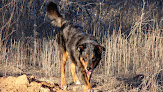 Meco 3 Negocio Clínica Veterinaria Meco