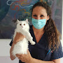Negocio Clínica Veterinaria Mimos