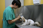 Morata De Tajuña 2 Negocio Clínica Veterinaria Morata