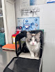 Negocio Clinica Veterinaria Orcasitas