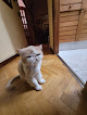Negocio Clínica Veterinaria Parque