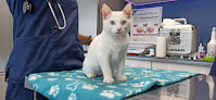 Negocio Clinica Veterinaria Plaza De Italia