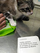 Negocio Clinica Veterinaria Plutos