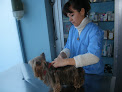 Moncloa - Aravaca 9 Negocio Clinica Veterinaria Principe Pio - Elena Ruano Fernandez