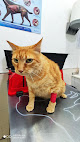 Negocio Clínica Veterinaria Quevedog