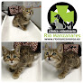 Móstoles 16 Negocio Clínica Veterinaria Río Manzanares