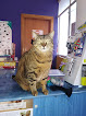 Negocio Clínica Veterinaria Senda Leonor Ruiz