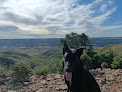 Negocio Clínica Veterinaria Torrelaguna