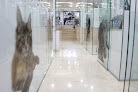 Negocio Clínica Veterinaria Unzeta