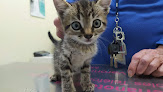 Negocio Clínica Veterinaria Valdemoro
