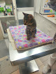 Negocio Clínica Veterinaria Vallecas