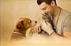 Moralzarzal 5 Negocio Clínica Veterinaria Vetwonder