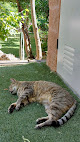 Negocio Clínica Veterinaria Villa De Cobeña