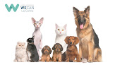 Negocio Clínica Veterinaria Wecan La Colina