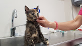 Salamanca 1 Negocio Clínica Veterinaria Zafra