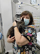 Negocio Clinica Veterinarium Ii