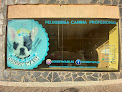 San Blas-Canillejas 27 Negocio Doggy Wash