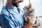 Negocio Dogtora Tu Veterinaria A Domicilio