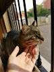 Alcorcón 1 Negocio Ervet + Urgencias Veterinarias