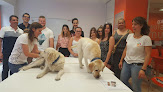 Negocio Escuela De Veterinaria Masterd