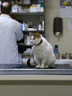 Negocio Golden Clinica Veterinaria