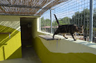 Negocio Granja La Luna Residencia Canina Para Perros Gatos En Madrid
