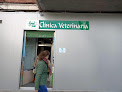 Negocio Green Can S L