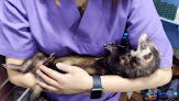 Negocio Gwana Vet Veterinario Exóticos