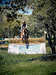 Negocio Horsesite