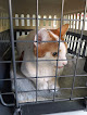 Negocio Hospital Veterinario Arturo Soria