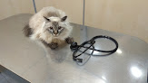 Negocio Hospital Veterinario Madrid Sur, Clínica Veterinaria 24 Horas En Madrid