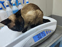Negocio Hospital Veterinario Mediterráneo