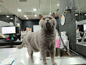 Negocio Hospital Veterinario Privet Aluche