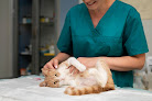 Negocio Hospital Veterinario Simbiosis