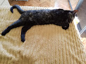Negocio Kivet Salud Animal