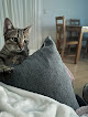 Negocio Kivet Salud Animal