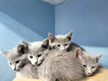 Cdad. Lineal 1 Negocio La Caseta Pet Shop