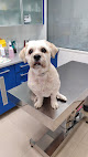 Negocio La Clínica Veterinaria (garcía Tapia)