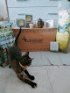 Negocio Lovepets