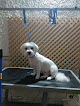 Negocio Maper Canina Y Felina Peluquería
