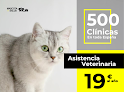Negocio Mascota Y Salud