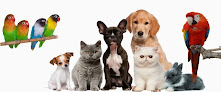 Negocio Mascotas Contreras