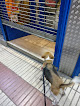 Cdad. Lineal 9 Negocio Mundo Azul Mascotas Quintana
