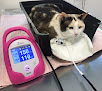 Negocio Pandora Veterinaria 24 Horas Fines De Semana.