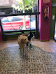 Negocio Peluquería Canina Scooby Dog Villanueva Del Pardillo