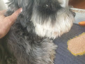 Negocio Peluquería Jandri